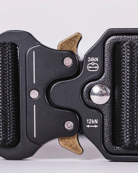 BASIC BELT